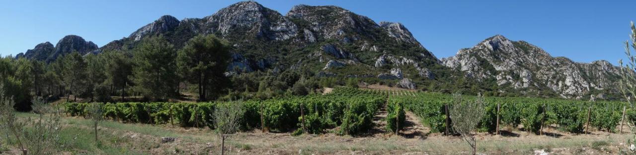 Saint-Rémy-de-Provence Les Lavandins-Gite Frederic מראה חיצוני תמונה