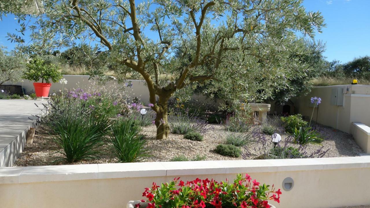 Saint-Rémy-de-Provence Les Lavandins-Gite Frederic מראה חיצוני תמונה