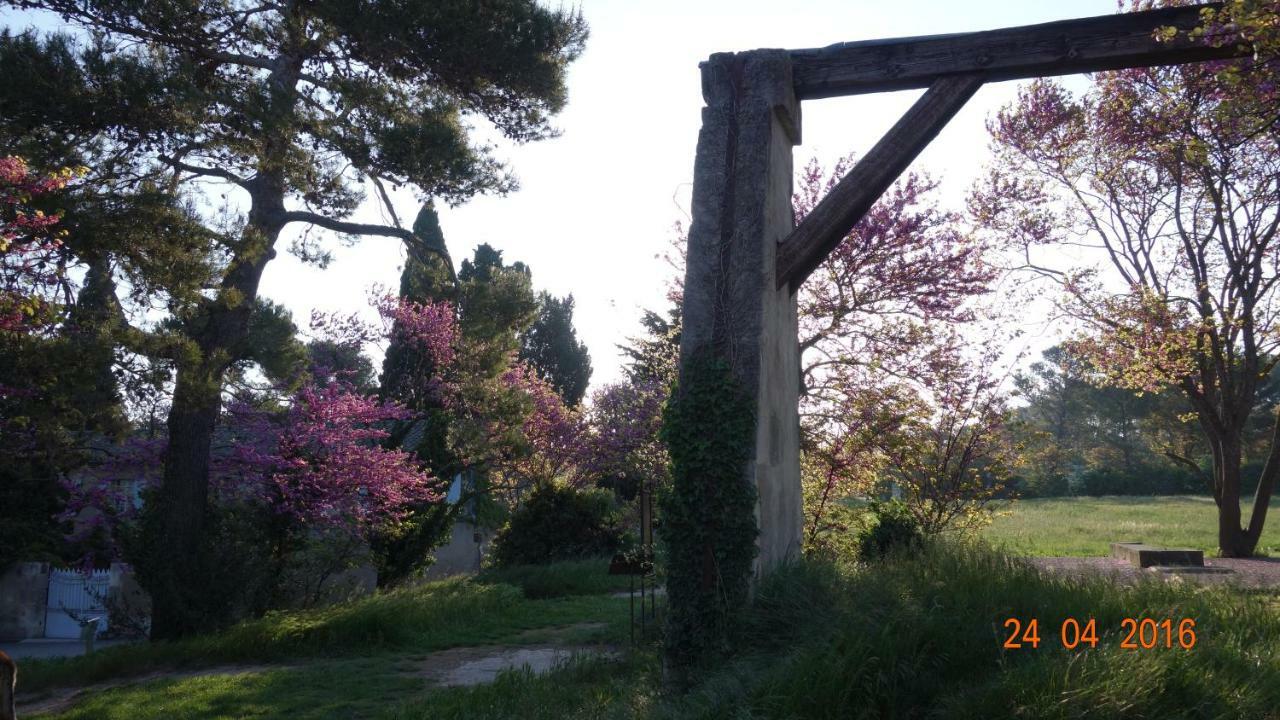 Saint-Rémy-de-Provence Les Lavandins-Gite Frederic מראה חיצוני תמונה